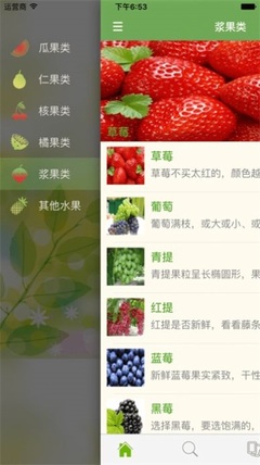 爱吃水果手机版下载-爱吃水果app下载v2.6